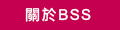 關於BSS